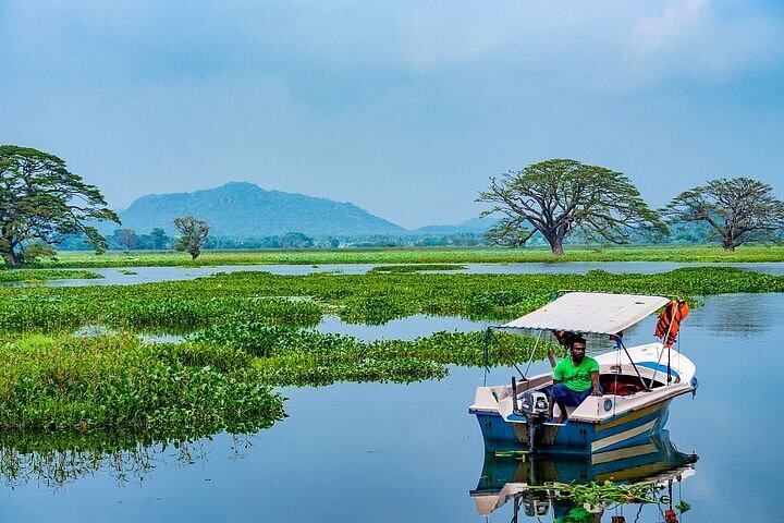 Tissamaharama all-inclusive: Yala Safari & Evening Lake tour