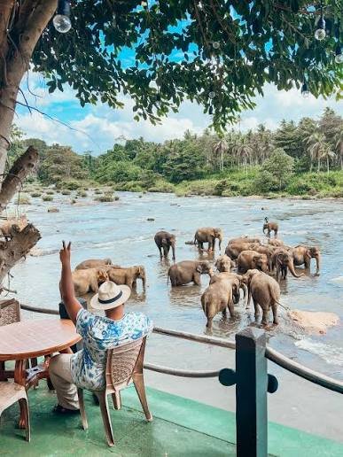 Kandy Cultural Day Tour with Pinnawala Elephant Experience