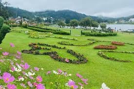 Nuwareliya Day Tour From Matale City