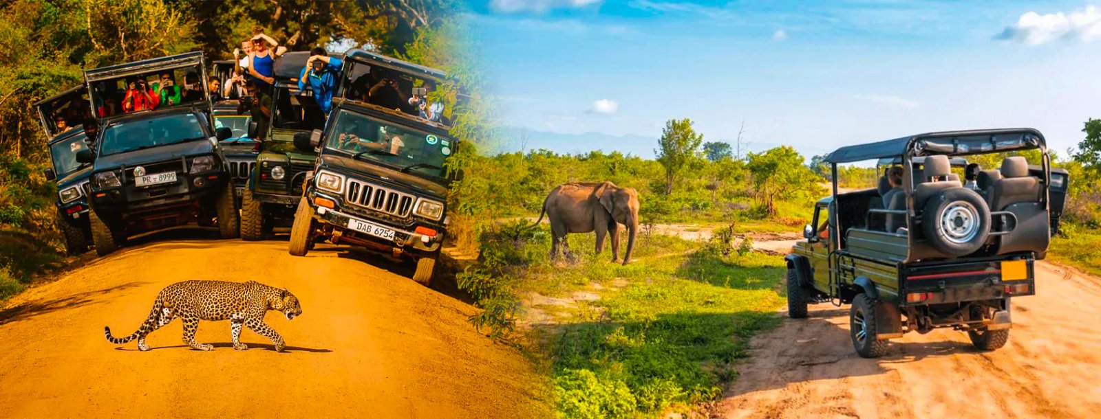 Weheragala National Park: Jeep Safari Tour