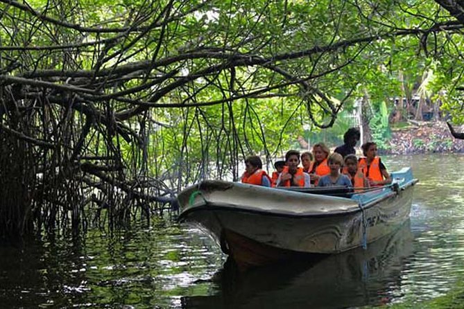 Private Transfer from Tissamaharama to Bentota