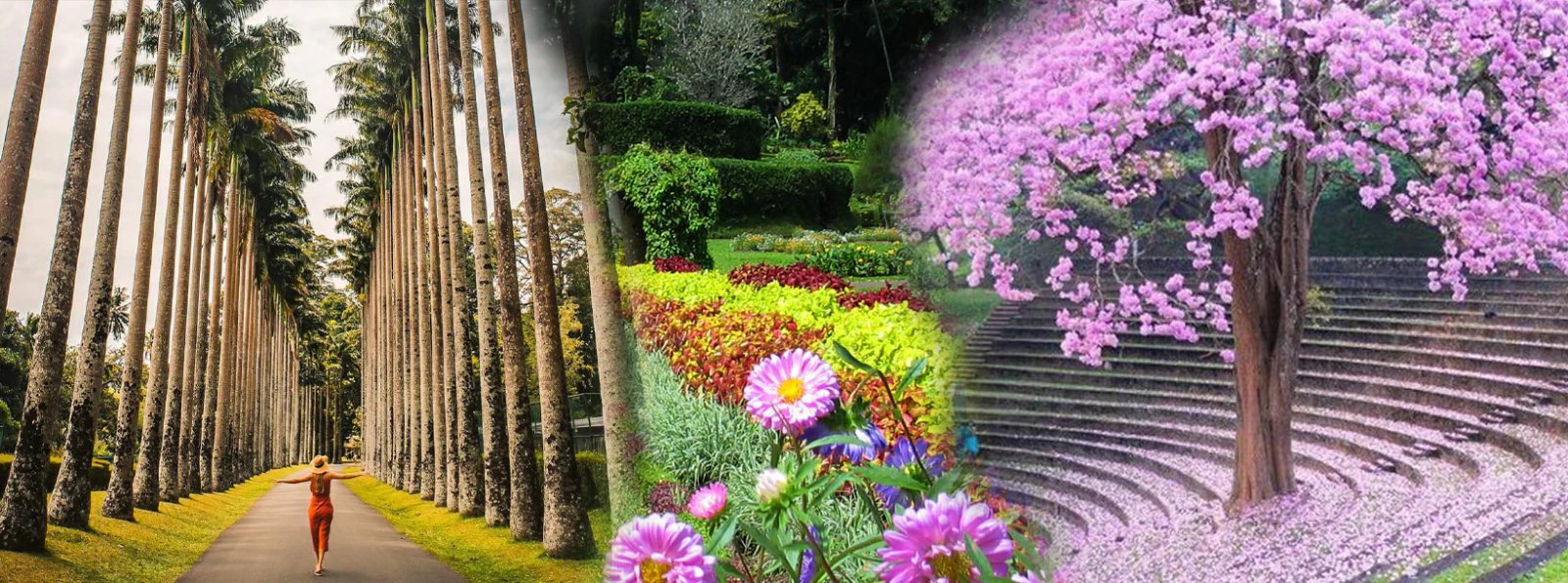 Kandy to Ella Transfer With Lakes, Falls & Botanical Garden