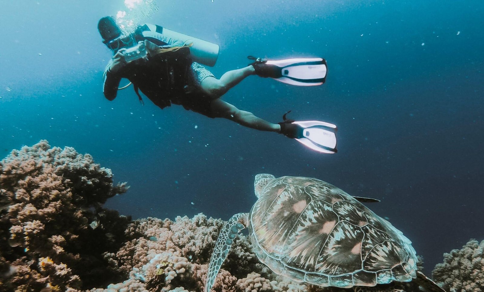 Andaman Islands Scuba Diving Marine Adventure