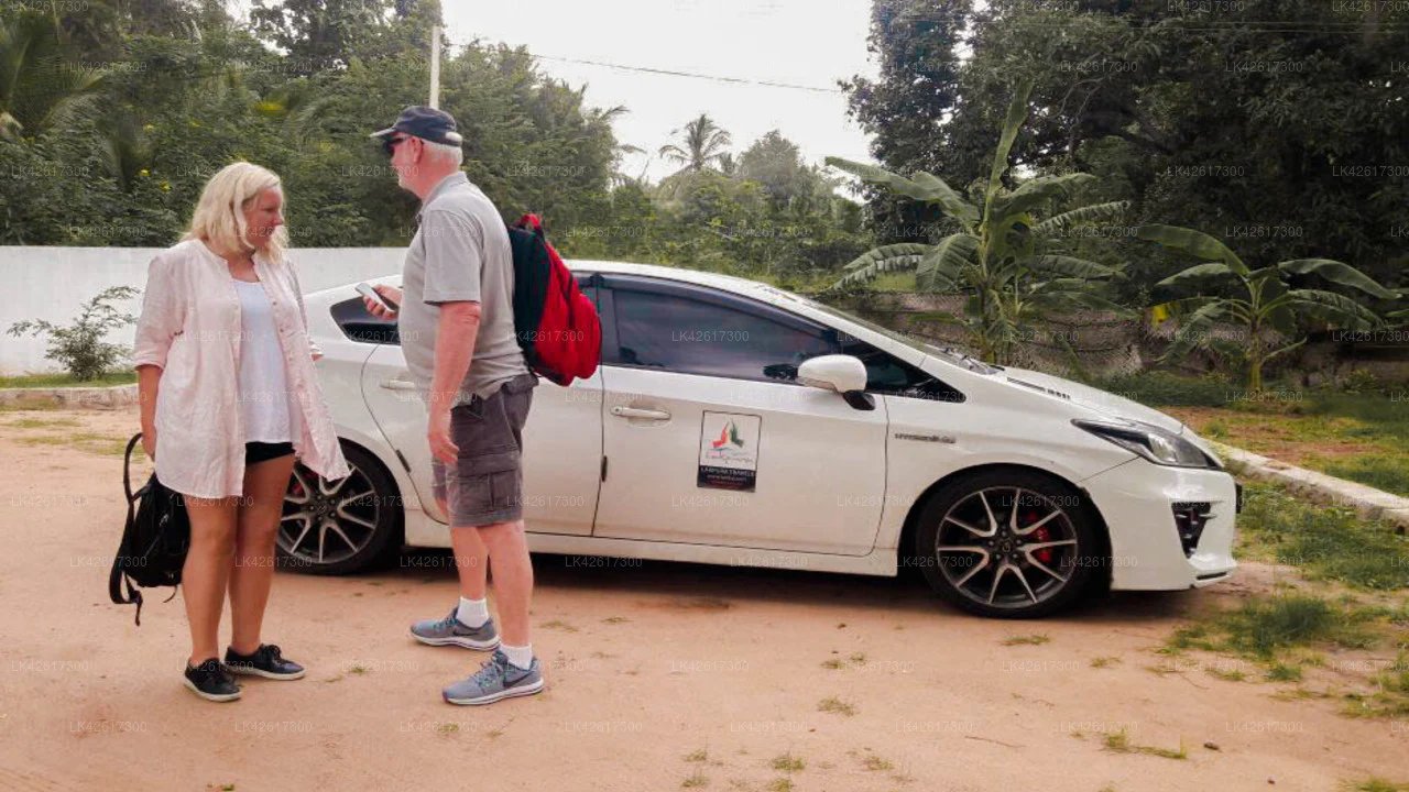 Udawalawe to Negombo Private Transfer