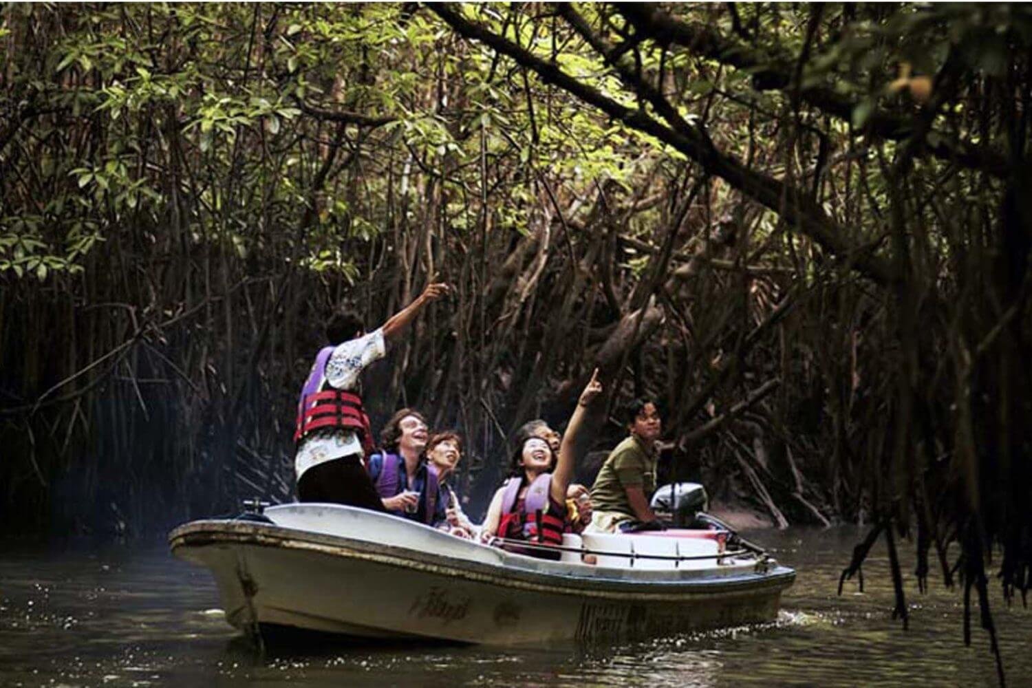 Madu River Safari & Cinnamon Garden Tour from Weligama