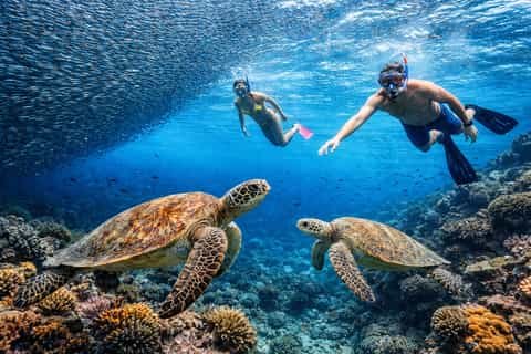 Havelock Island Full Day Island Hopping Snorkeling Tour