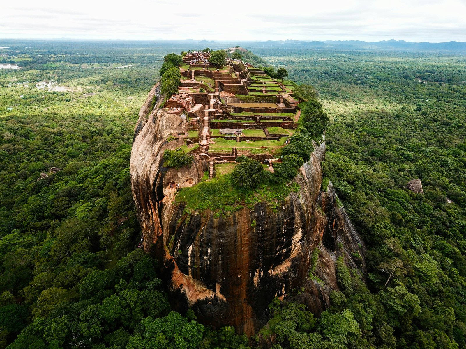 Wilpattu to Sigiriya Private Transfer Service