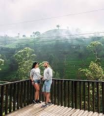 Nuwara Eliya Scenic Day Tour From Habarana City Srilanka