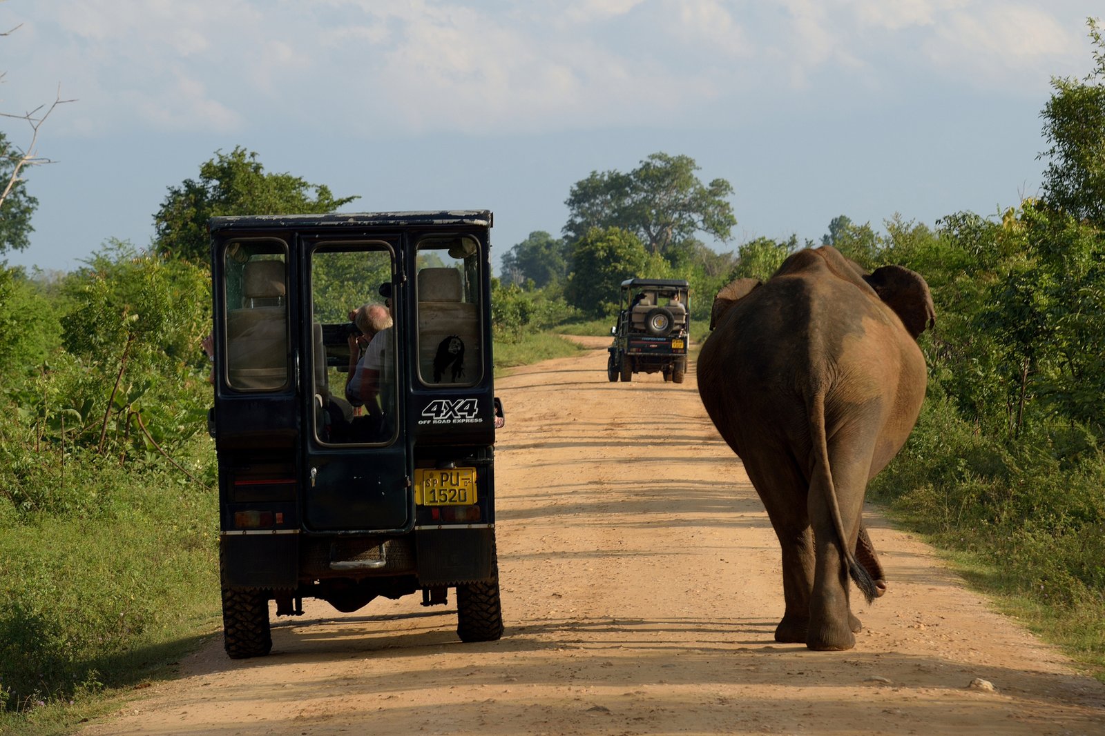 Explore Udawalawe National Park from Hambantota .