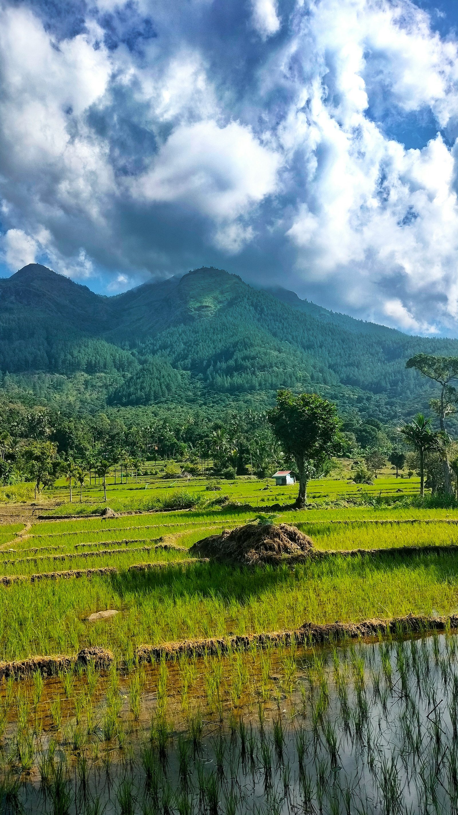 Belihuloya Village Tour with Lunch