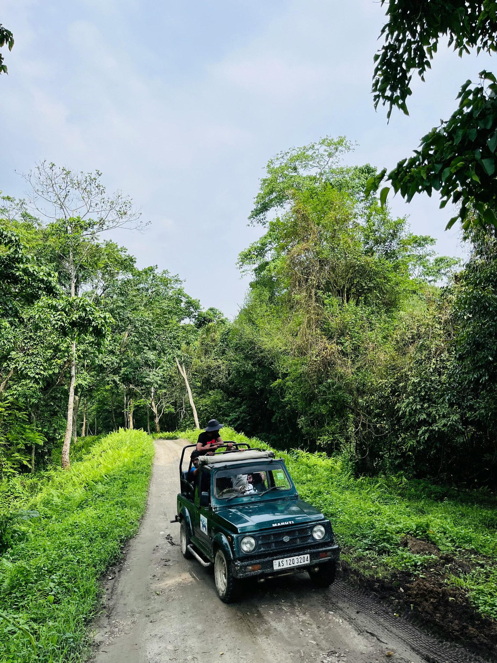 Belihuloya: Devil's Staircase Jeep Safari with Pickup
