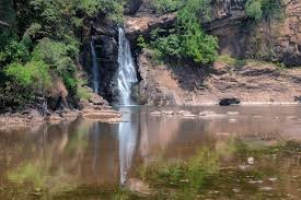 Harvalem Falls & Spice Trail Goa Nature Escape