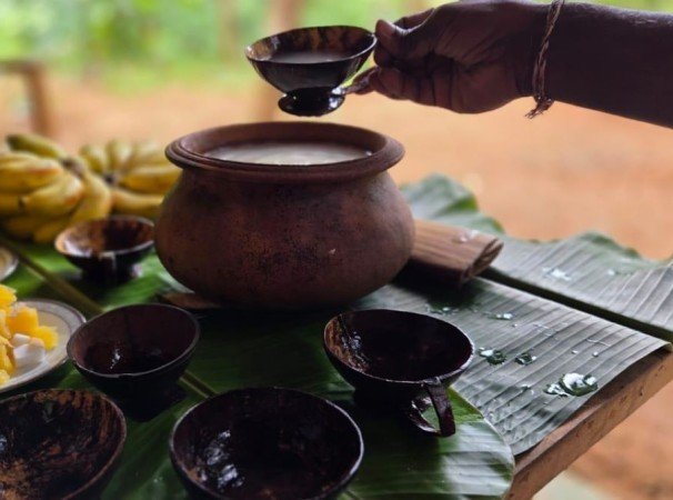 Ratnapura: Toddy Trail, Waterfall, and Picnic Lunch
