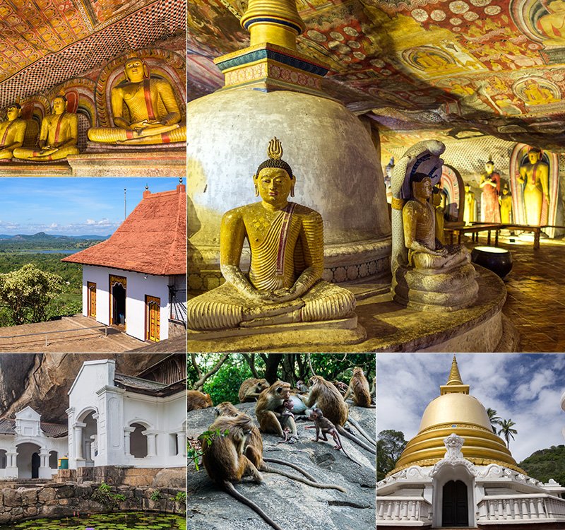 Serene Transfer from Beruwala to Sacred Dambulla