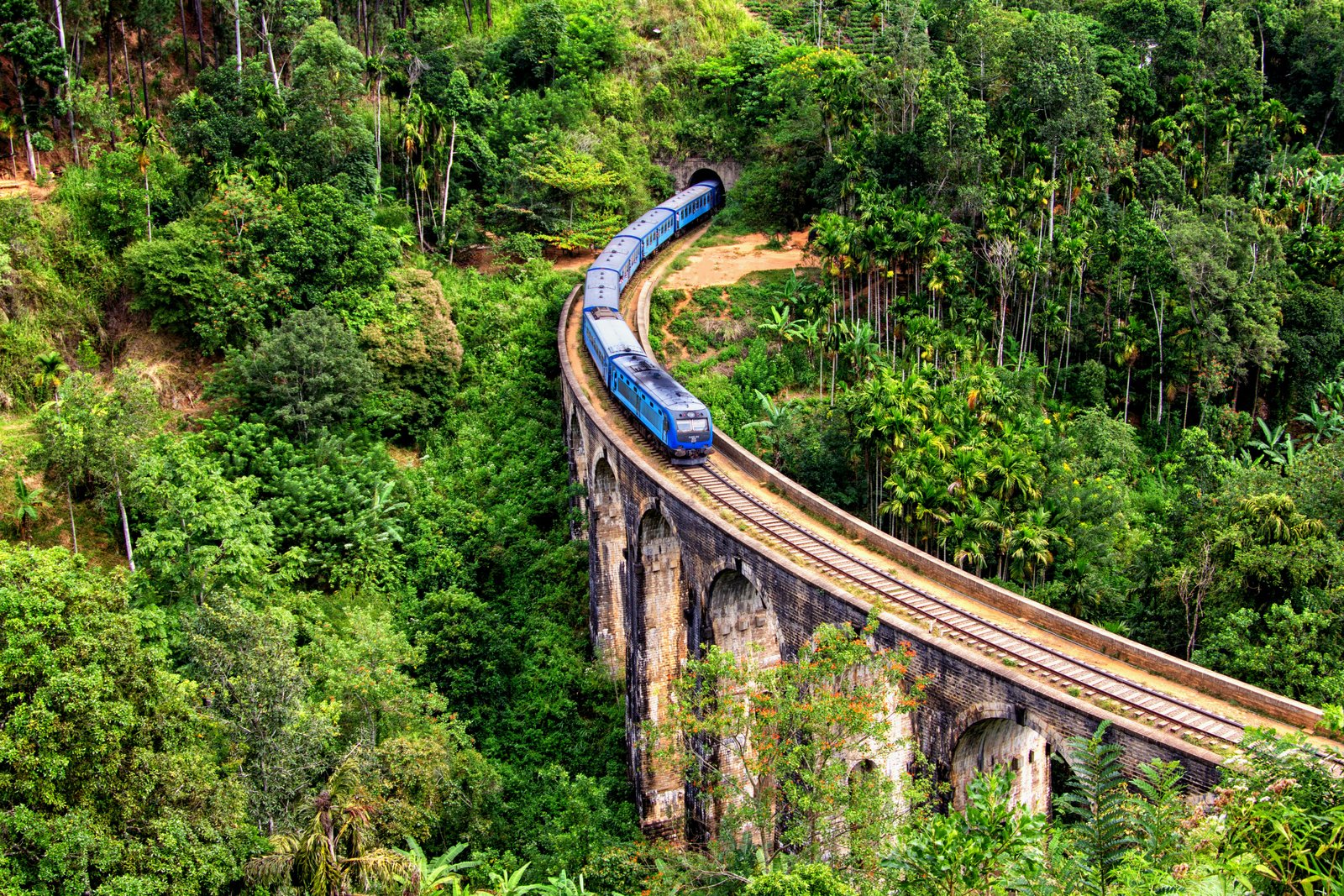 Scenic Private Transfer from Colombo to Ella