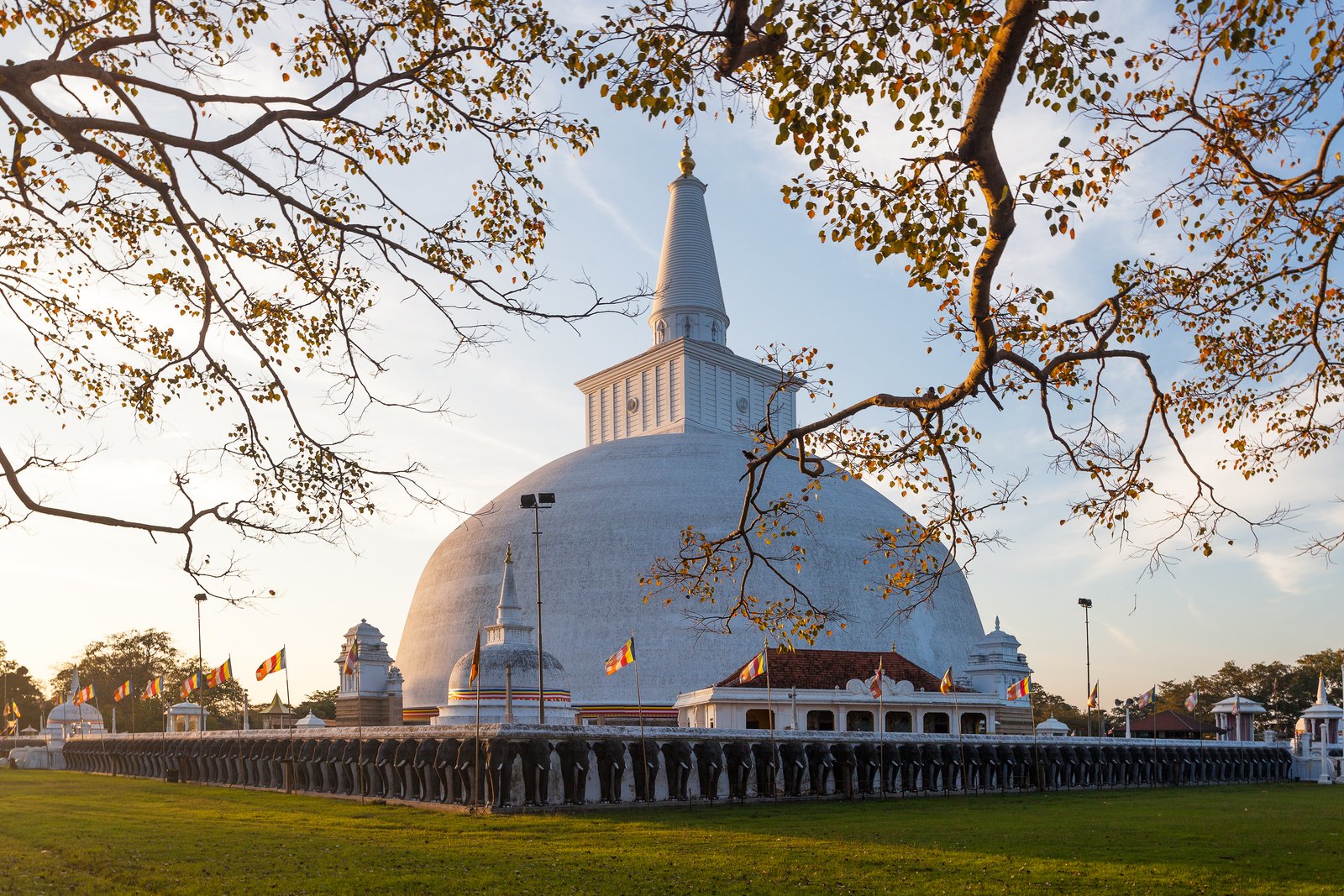 Anuradhapura Ancient City &UNESCO Heritage Tour from Colombo
