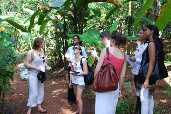 Goa Spice Plantation Tour with Lunch Experience