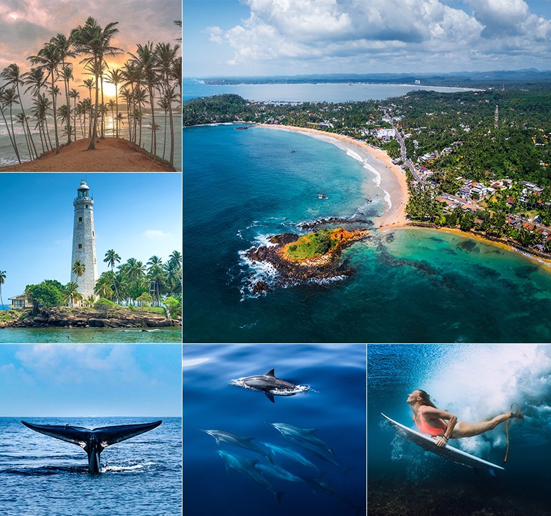 Bentota to Mirissa Coastal Escape and Whale Experience