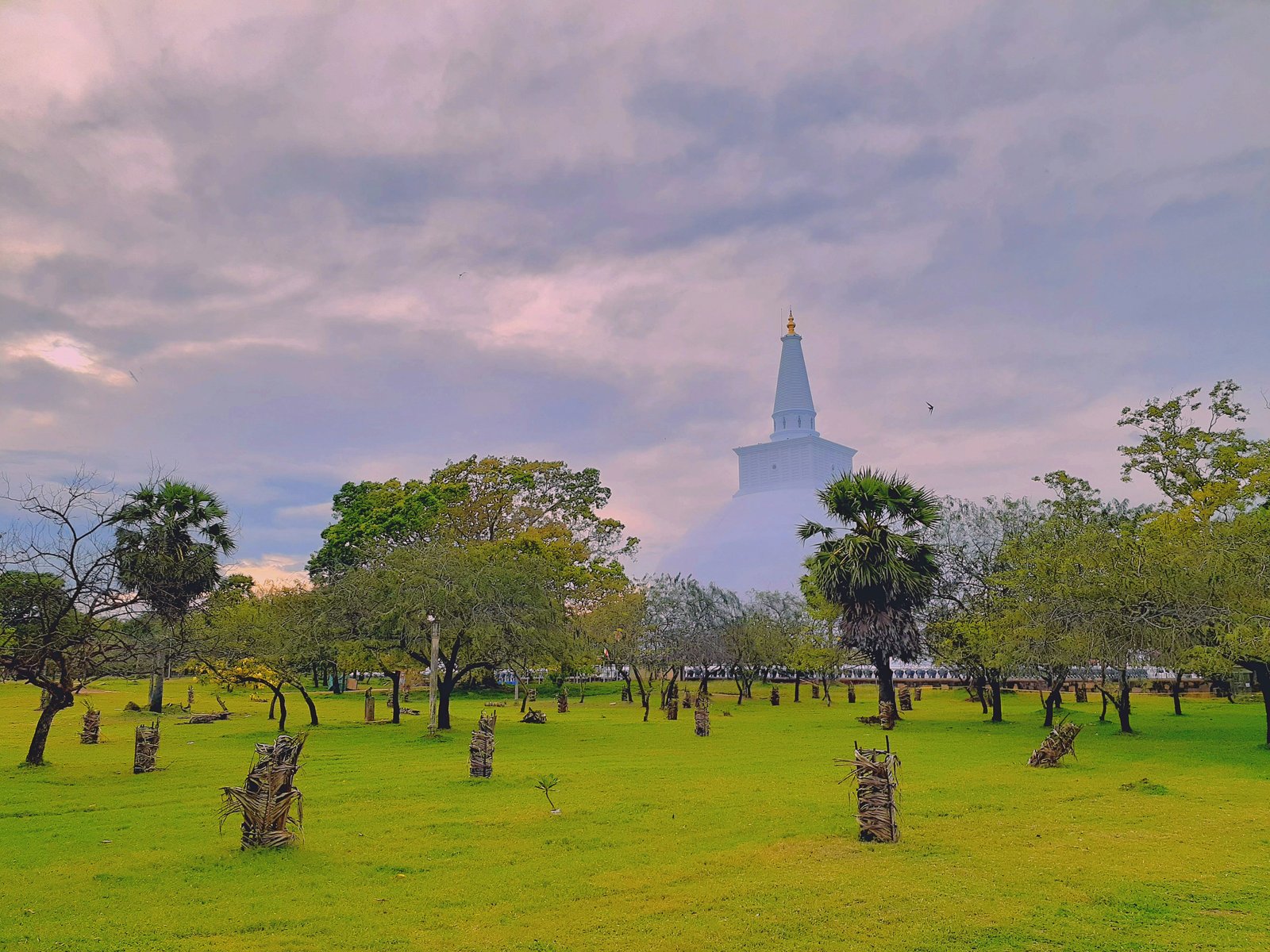 Private Transfer from Colombo to Anuradhapura