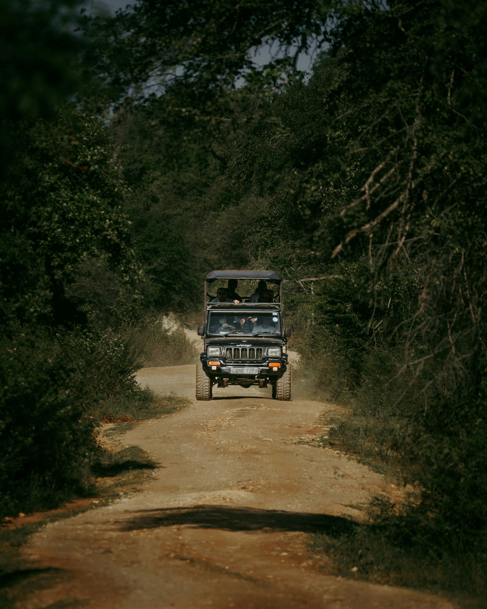 Yala National Park: Jeep Safari Tour