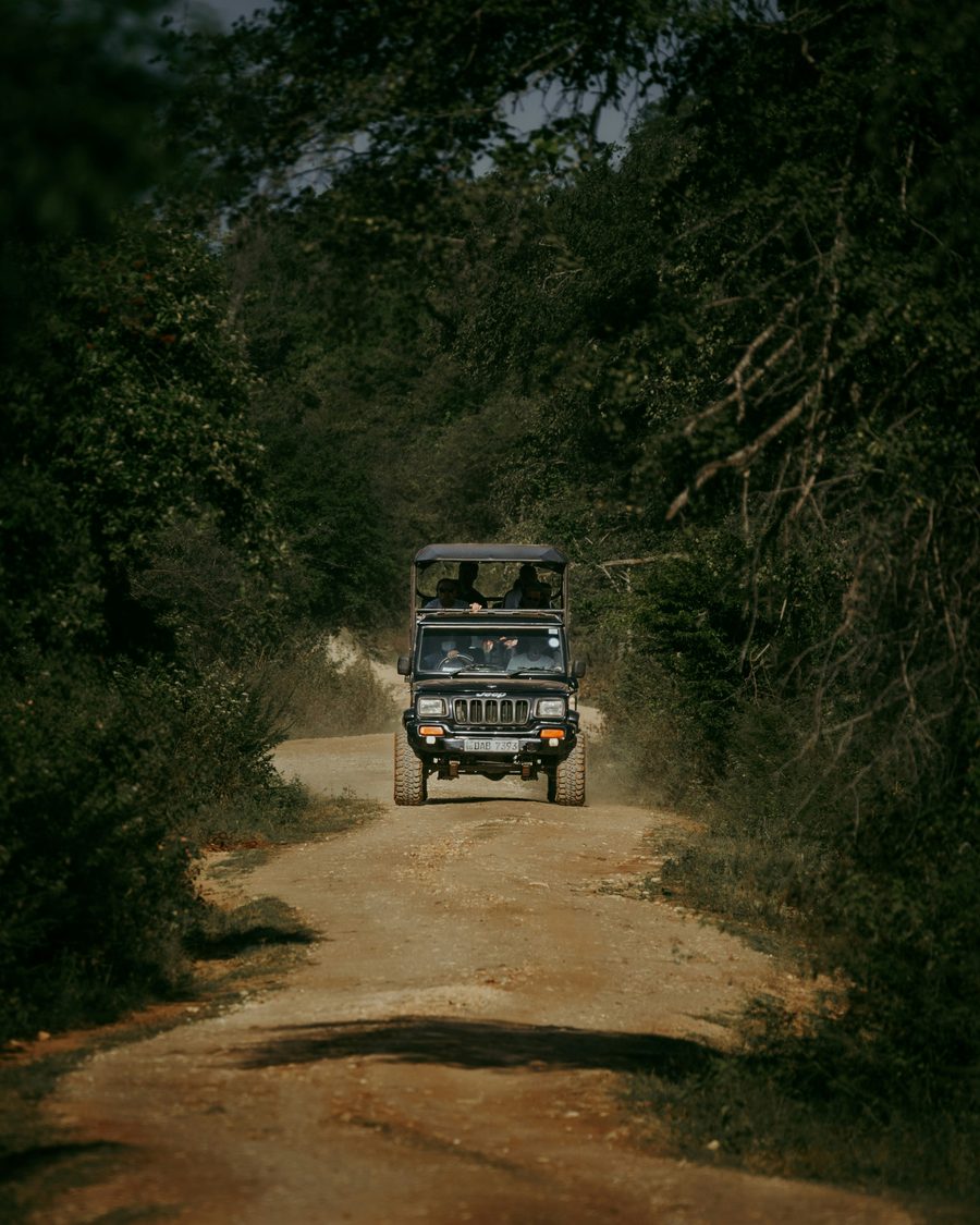 Yala National Park: Jeep Safari Tour