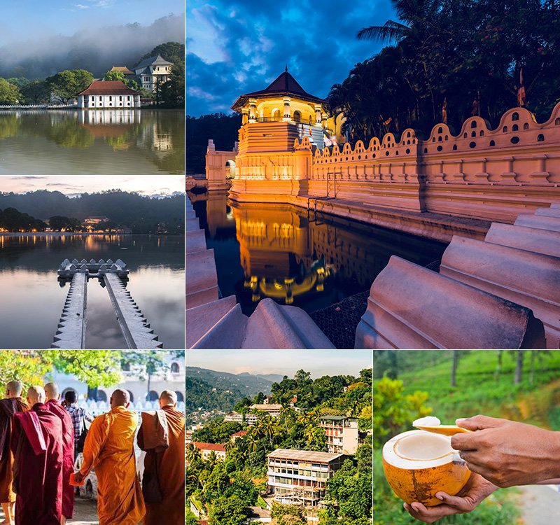 Bentota to Kandy Royal City Transfer Experience