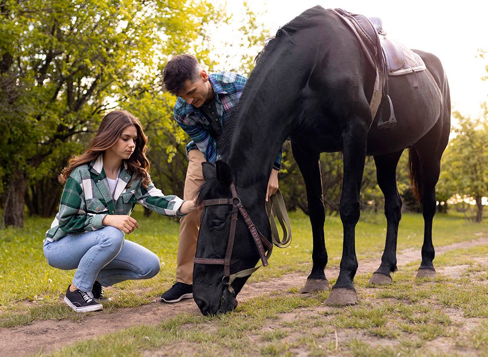 Horse Riding Safari Adventure from Bangalore
