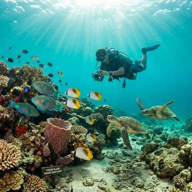 Pigeon Island Tour from Trincomalee