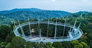 The Habitat Penang Hill Rainforest Canopy Experience