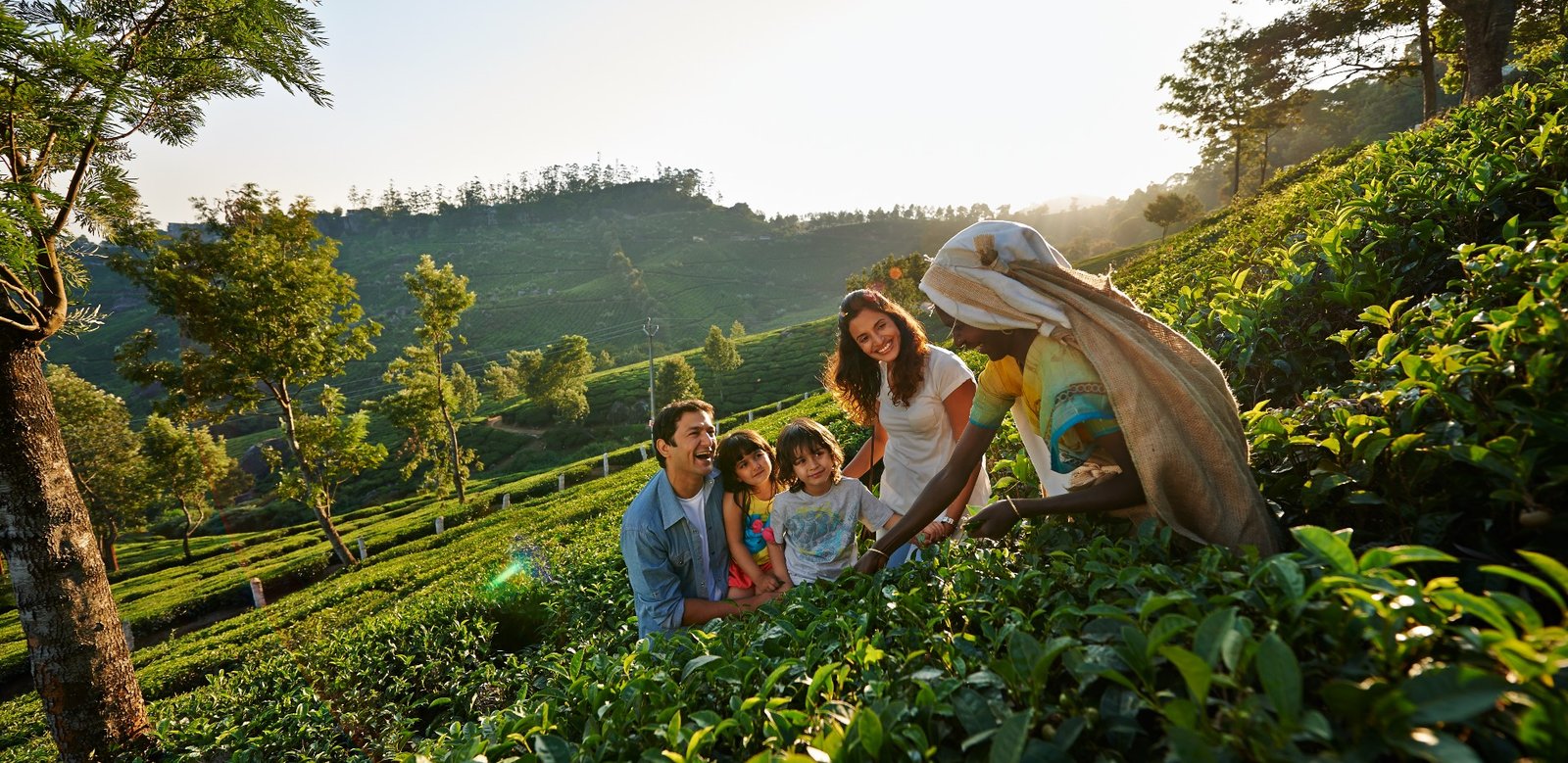 Munnar Tea Trail with Factory Visit and Tasting