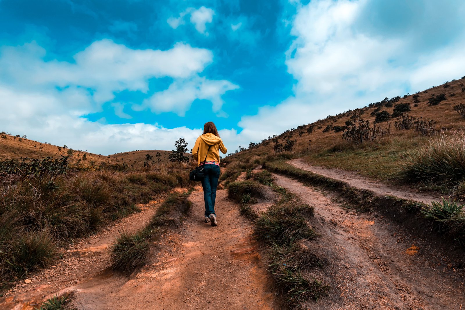 Horton Plains Tour from Ella