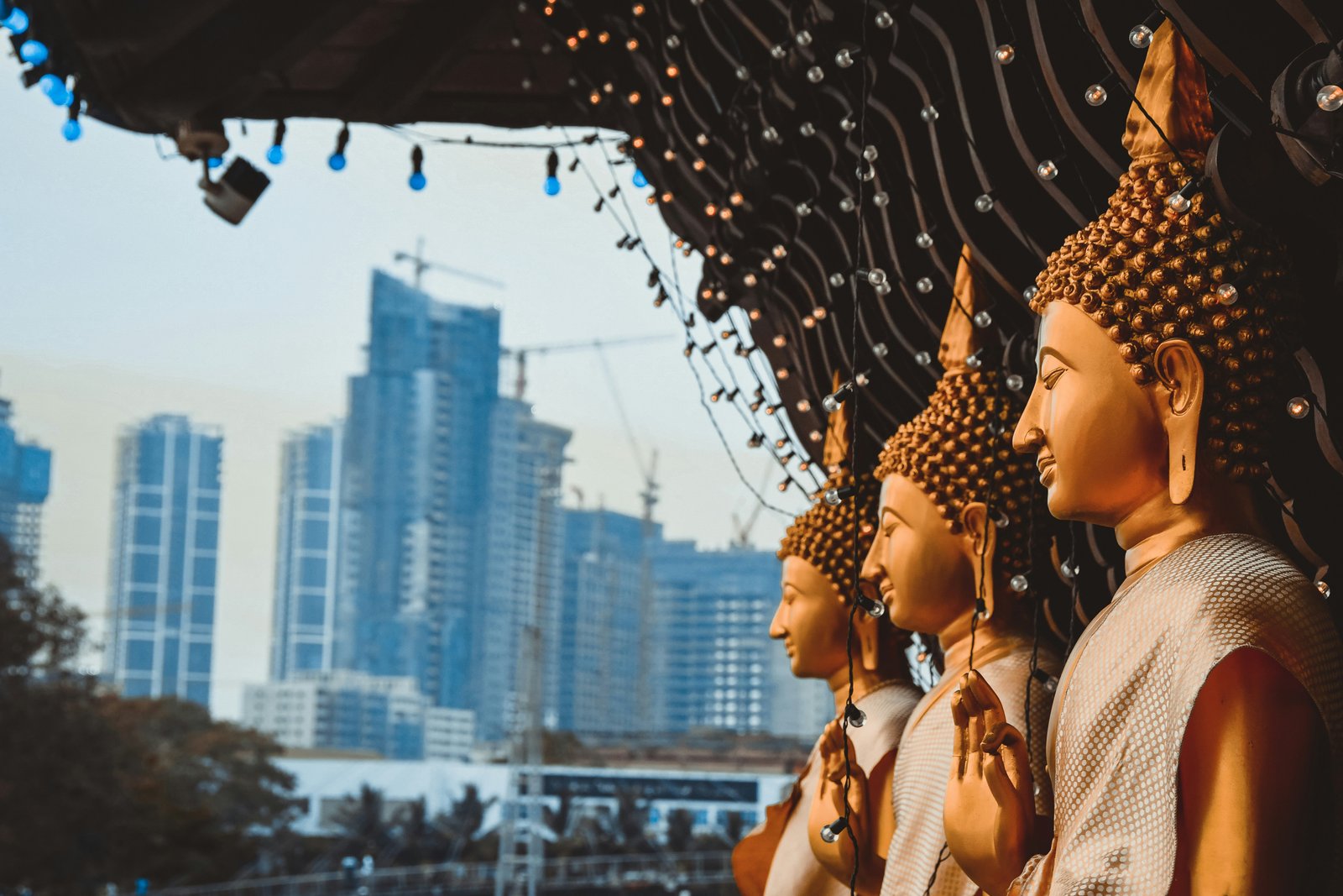 Sri Lanka Cultural Hills and Beach Escape Tour in 7 Days