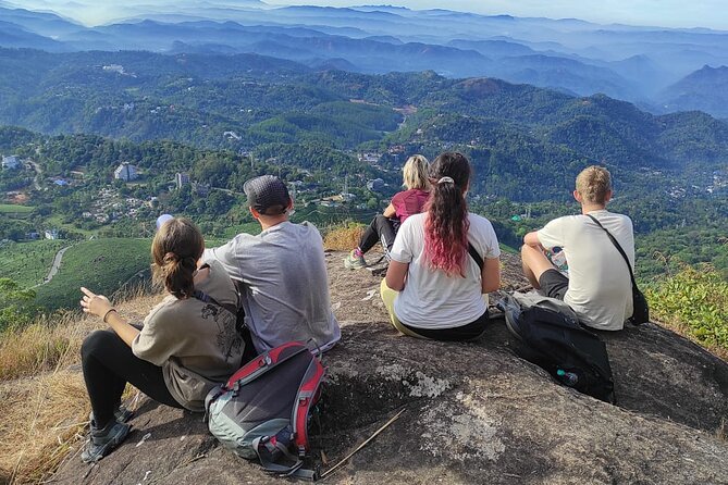 Munnar Half Day Guided Trek in Tea Hills