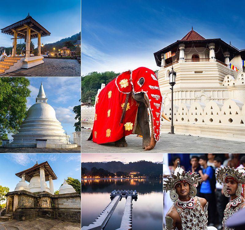 Ultimate 10-Day Sri Lanka Cultural & Nature Tour