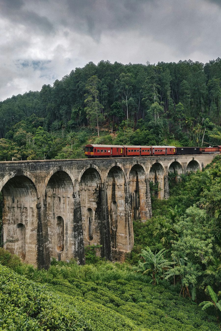 Ultimate 10-Days Sri Lanka Cultural & Nature Tour
