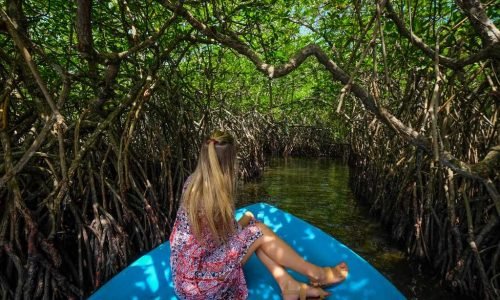 Pearl of Sri Lanka Adventure 9 Days 8 Night