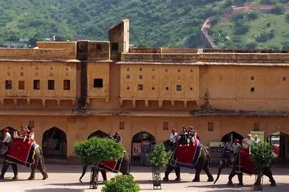 Jaipur Royal Heritage Full-Day Private Tour