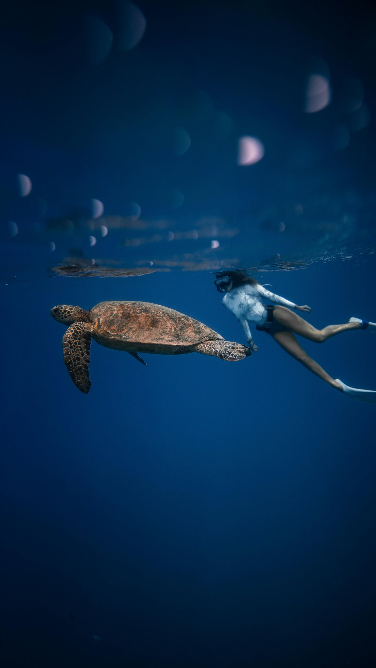 Mirissa: Unforgettable Snorkeling Experience with Turtles