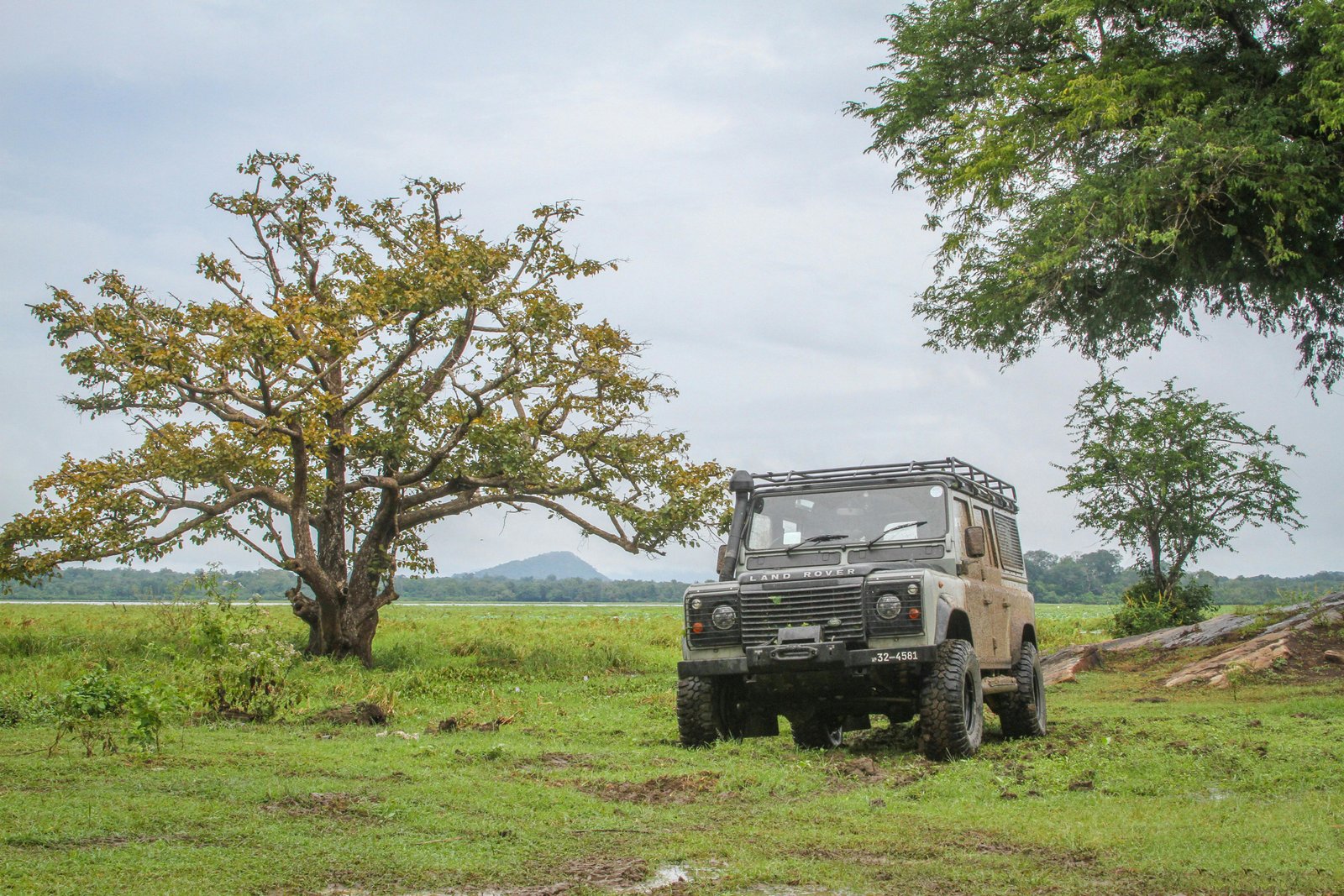 Yala: Private Safari Day Trip with Lunch & Entry Fees