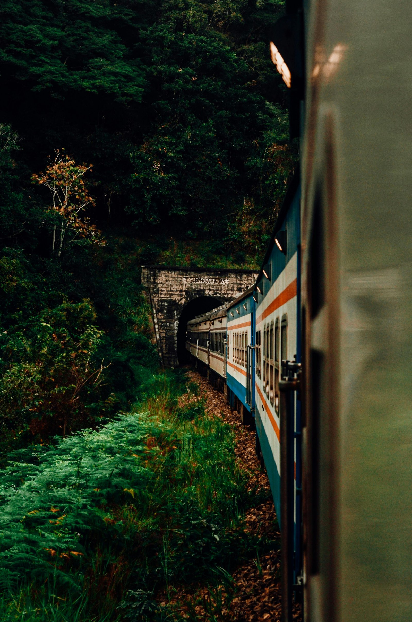 Ceylon Scenic Rail: First-Class Kandy to Nanu Oya Experience
