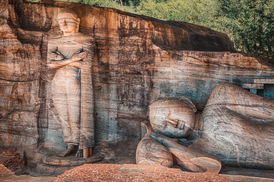 Kandy to Polonnaruwa: Culture, History & Farm Delights photo 3