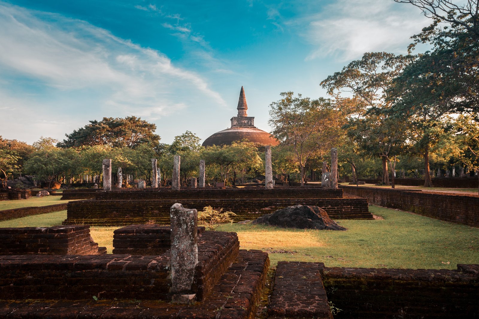 Kandy to Polonnaruwa: Culture, History & Farm Delights