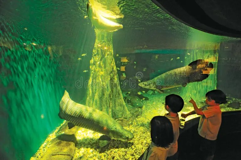 Aquaria KLCC Ticket in Kuala Lumpur