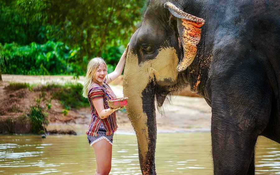 Phuket Ethical Elephant Sanctuary Feeding Experience