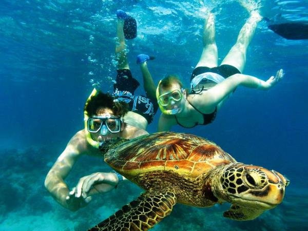 Similan Islands Snorkeling Adventure by Speedboat