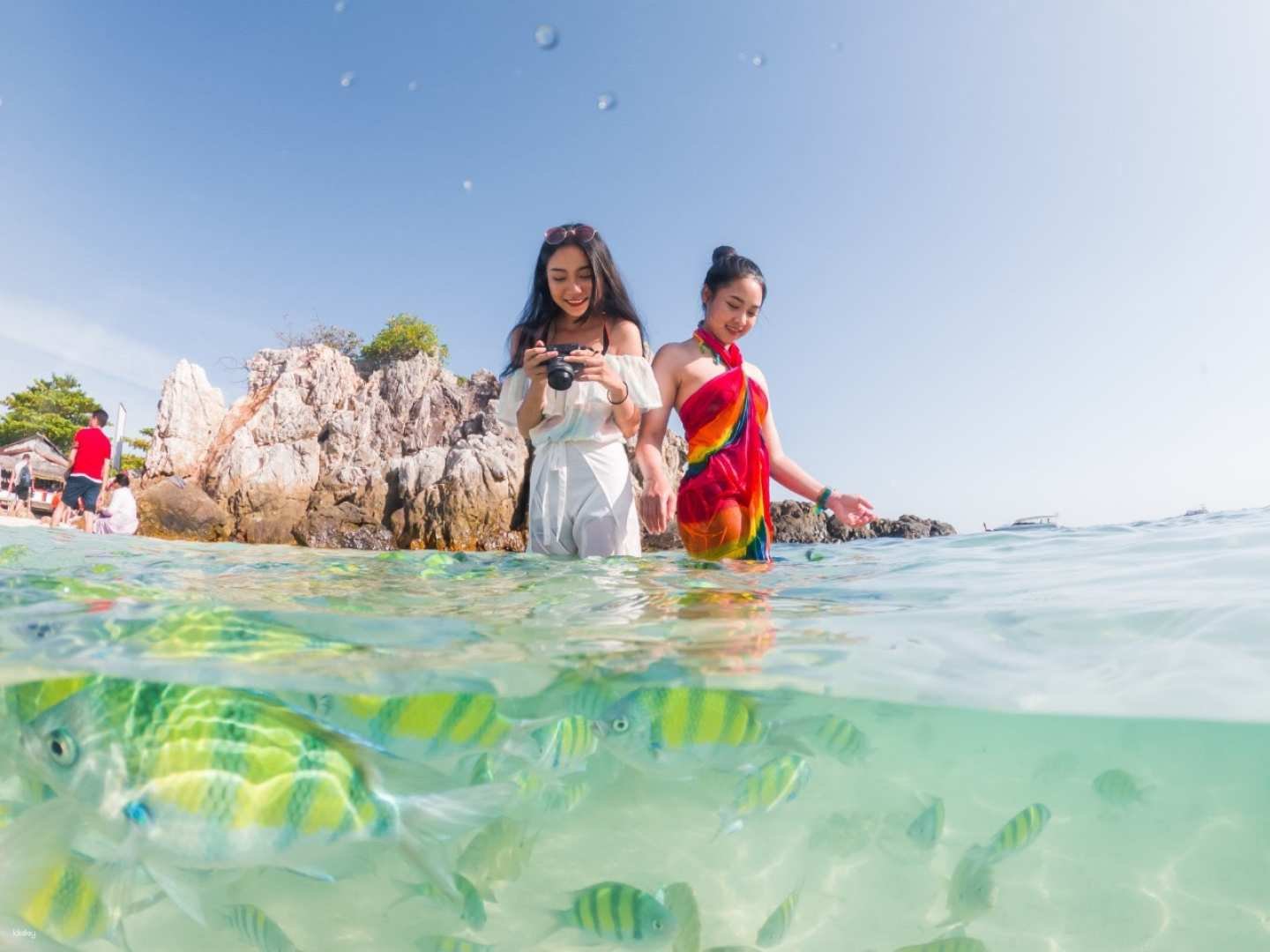 Phi Phi, Maya Bay, Khai & Snorkeling Tour with Lunch