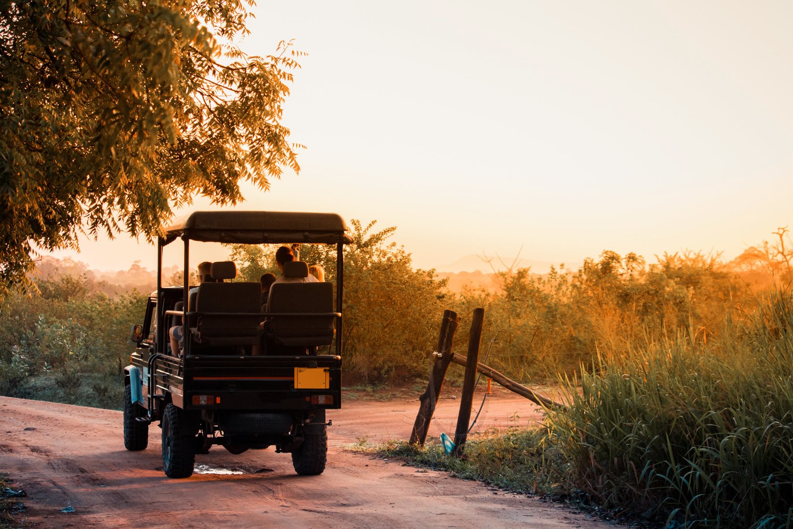 Ella to Paradise: Coastal & Safari Escape
