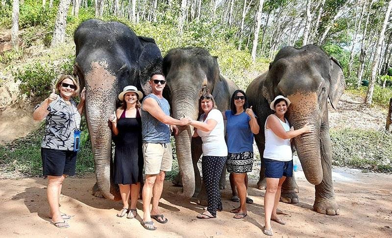 Phuket Ethical Elephant Sanctuary Walk and Feed Tour