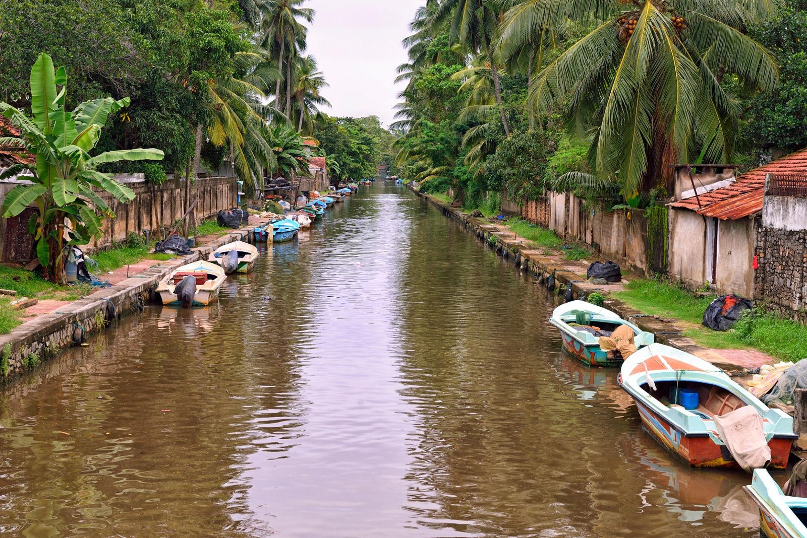 Negombo Coastal City Tour from Colombo