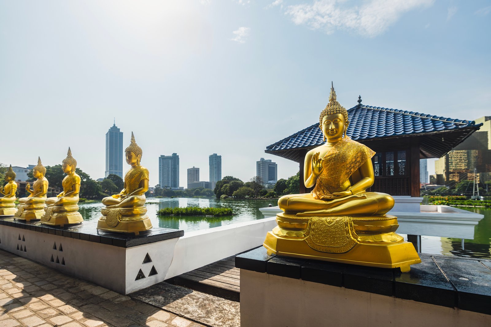 Ceylon Tea Tasting & Plantation Experience – From Colombo